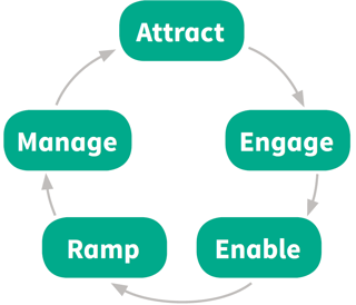 Lifecycle.png